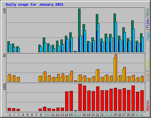 Daily usage for January 2021