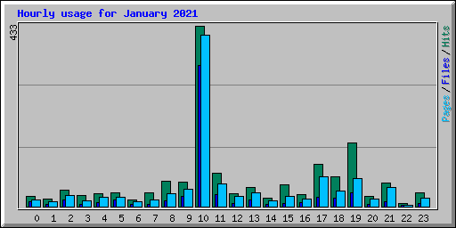 Hourly usage for January 2021