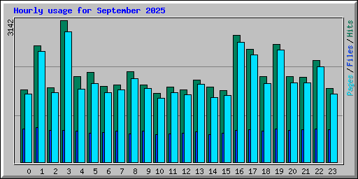 Hourly usage for September 2025